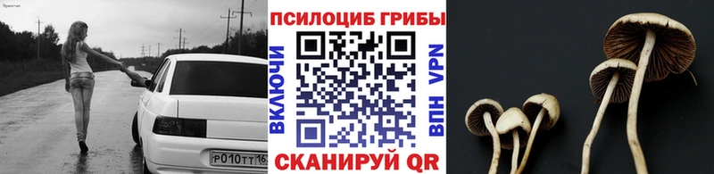 магазин    Закаменск  Галлюциногенные грибы MAGIC MUSHROOMS 