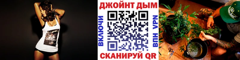 Марихуана Amnesia  продажа наркотиков  Закаменск 